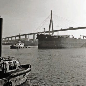 Köhlbrandbrücke-730