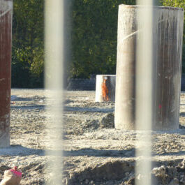 Finkenried_Gisela_Bertram-445×265